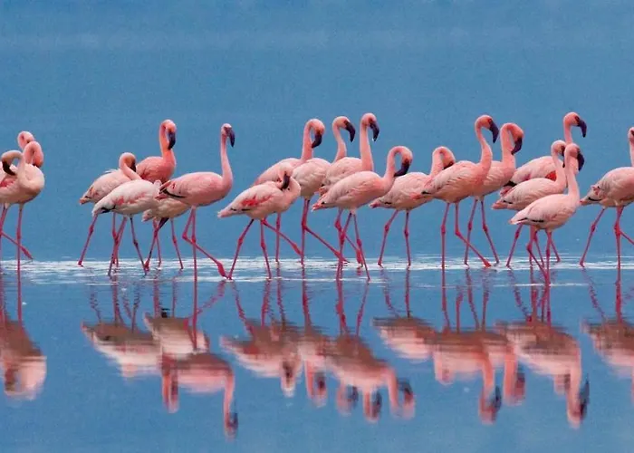 Гостевой дом Arya